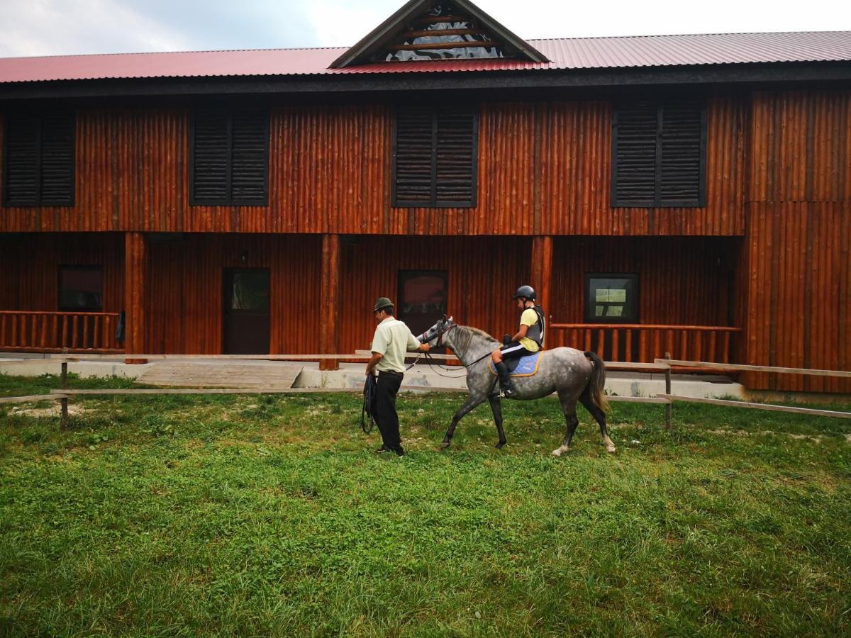 Hotel Carpathia Onceşti Exterior foto