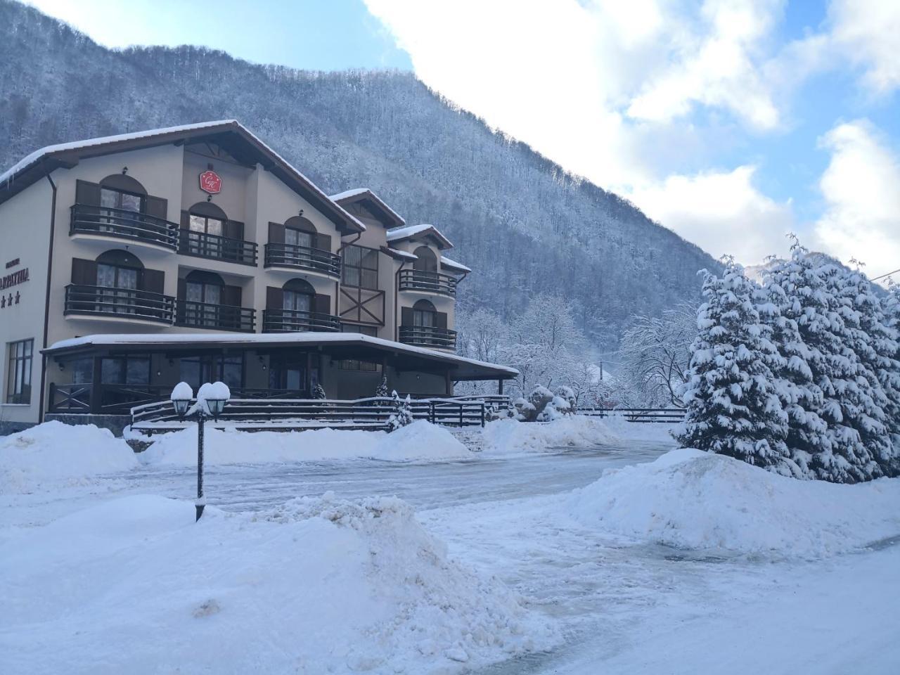 Hotel Carpathia Onceşti Exterior foto